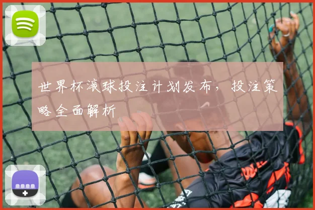 世界杯滚球投注计划发布，投注策略全面解析