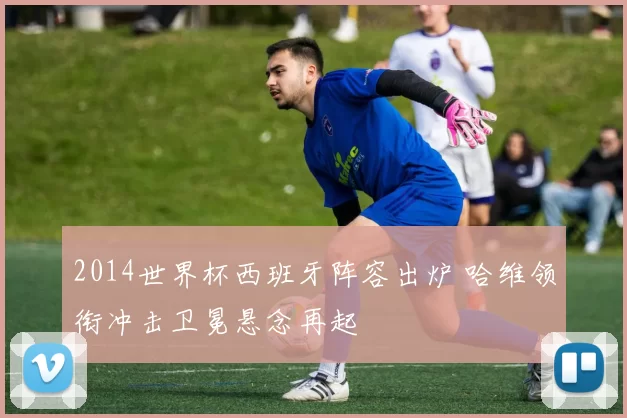 2014世界杯西班牙阵容出炉 哈维领衔冲击卫冕悬念再起